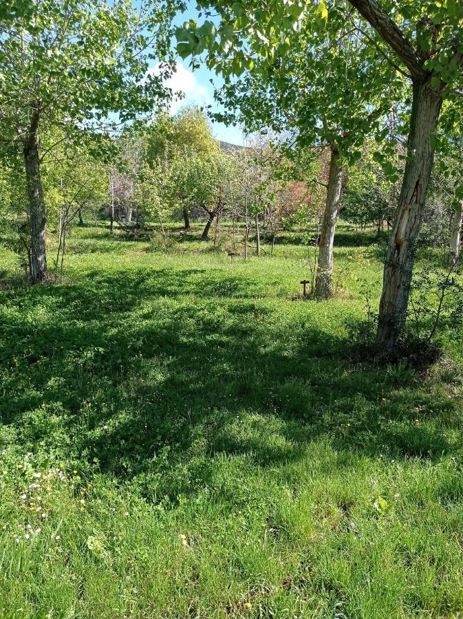 Camping Yaso-Guara Buitenkant foto